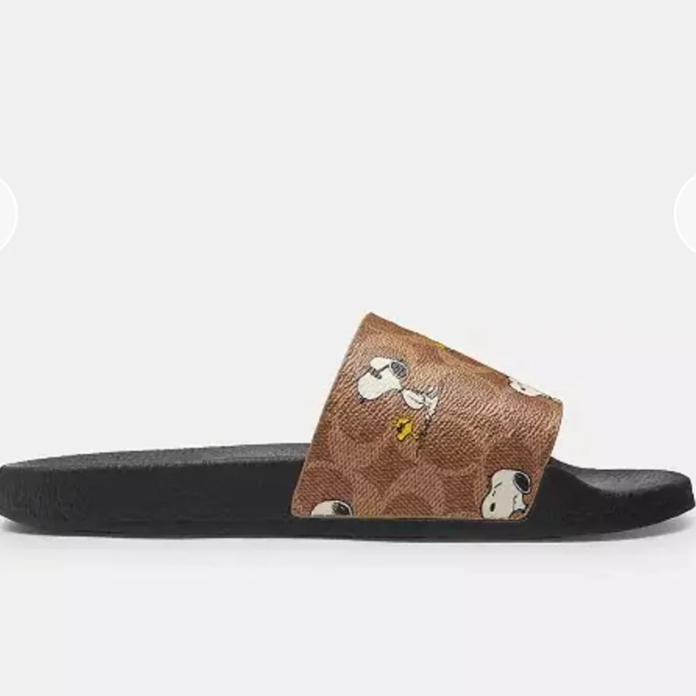 Coach Slides - Picture 4 of 4
